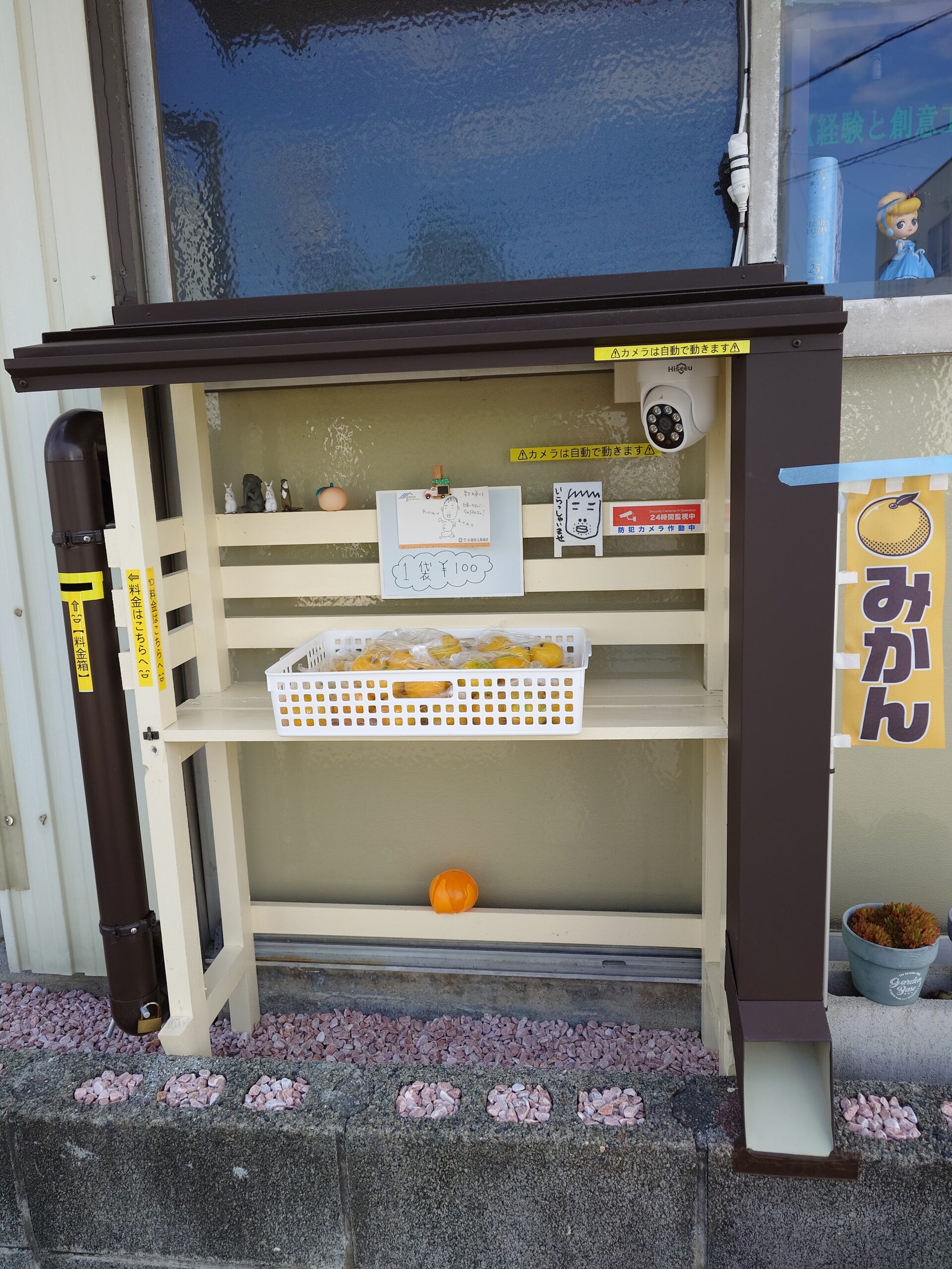 【無人ストア販売　みかん(早生)販売🈺　始めました🍊】